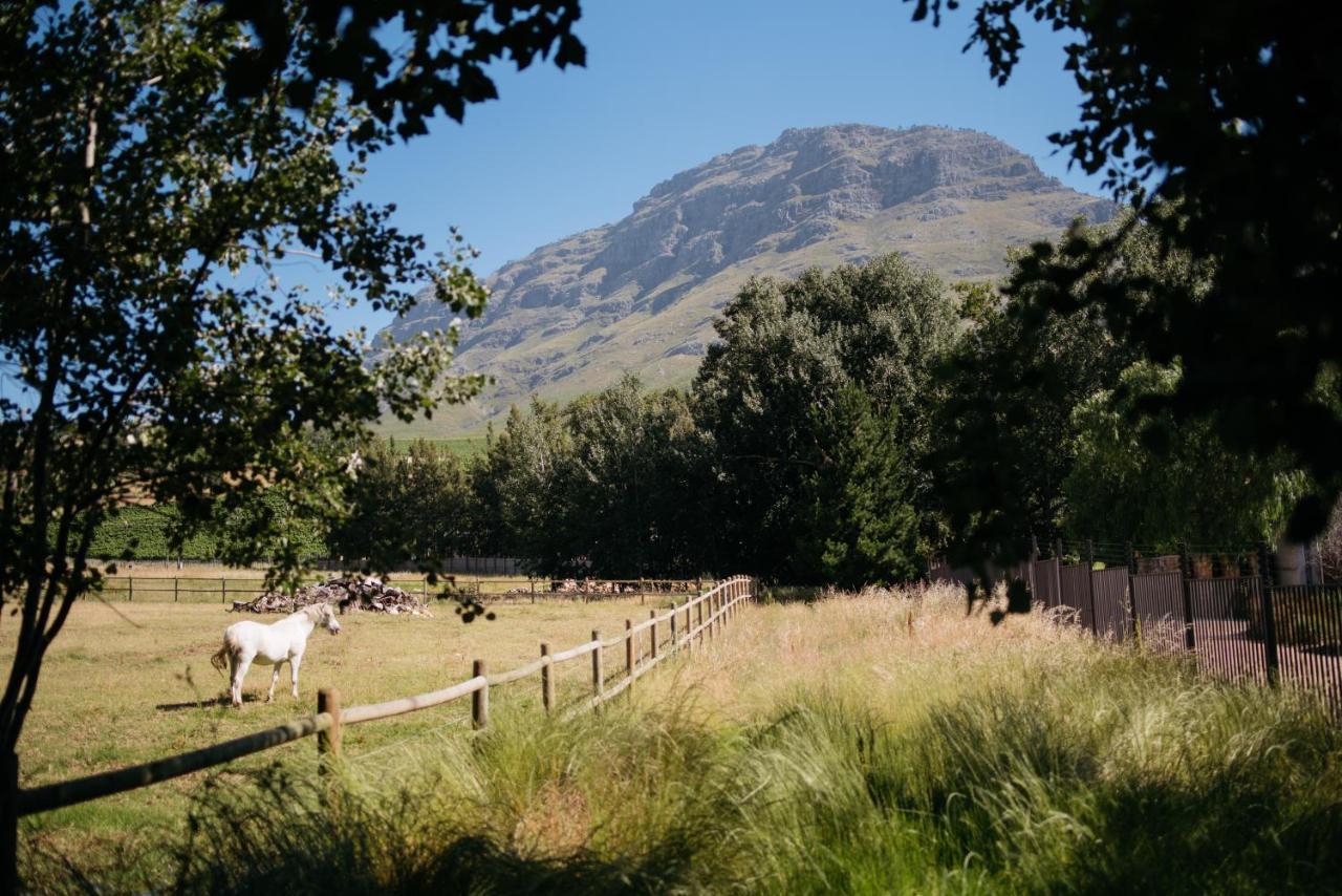 Simonzicht Guest House Stellenbosch Exterior photo